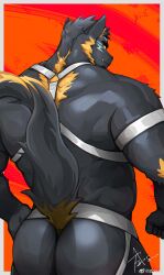 Rule 34 | 1boy, absurdres, animal ears, ass, ass cutout, ass focus, bara, clothing cutout, dog ears, dog tail, facial hair, from behind, goatee, grey fur, grey hair, highres, huge ass, looking at viewer, looking back, male focus, multicolored hair, muscular, muscular male, o-ring, o-ring top, orange hair, revealing clothes, short hair, solo, streaked hair, strongman waist, tail, tail raised, thick eyebrows, tusks, weisun (leoooliooon)