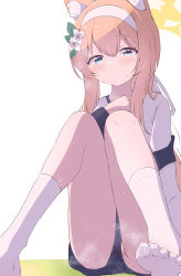 Rule 34 | 1girl, animal ears, ass, blue archive, blue eyes, blush, cat ears, cat girl, commentary request, flower, gym shirt, gym shorts, gym uniform, hair between eyes, hair flower, hair ornament, halo, headband, highres, jacket, kneehighs, knees to chest, long hair, long sleeves, looking at viewer, low ponytail, mari (blue archive), mari (track) (blue archive), no shoes, official alternate costume, orange hair, shirt, short shorts, shorts, sidelocks, simple background, sitting, socks, soles, solo, sweat, toes, tonomiya68, track jacket, visible air, white background, white socks