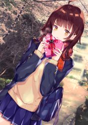 Rule 34 | 1girl, absurdres, ahoge, bag, blazer, blue jacket, blue skirt, blush, box, brown hair, day, dutch angle, heart-shaped box, highres, huge filesize, jacket, kikurage tom., long hair, long sleeves, looking at viewer, miniskirt, open clothes, open jacket, open mouth, orange scarf, original, outdoors, plaid, plaid scarf, pleated skirt, red ribbon, ribbon, scarf, school bag, school uniform, skirt, solo, sweater, v-neck, valentine, yellow eyes, yellow sweater
