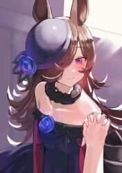 Rule 34 | 1girl, animal ears, back bow, bare shoulders, black bow, blue flower, blue rose, blush, bow, breasts, brown hair, closed mouth, commentary request, dress, flower, highres, holding hands, horse ears, horse girl, long hair, long sleeves, looking at viewer, off-shoulder dress, off shoulder, pov, purple eyes, purple headwear, rice shower (umamusume), rose, small breasts, smile, solo focus, solokitsune, tilted headwear, umamusume, upper body