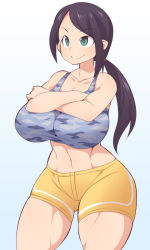 Rule 34 | 10s, 1girl, abs, bad id, bad pixiv id, black hair, blush, breasts, crossed arms, curvy, green eyes, gym uniform, huge breasts, idolmaster, idolmaster cinderella girls, long hair, midriff, muscular, navel, one eye closed, pants, ponytail, shorts, smile, solo, thick thighs, thighs, tight clothes, tight pants, uccow, wide hips, yamato aki