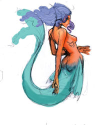 Rule 34 | 1girl, blue eyes, completely nude, fins, gills, head fins, mermaid, monster girl, nude, purple hair, simple background, sketch, solo, tan