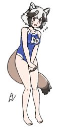 Rule 34 | 1girl, acesrulez, alternate costume, animal ears, bare arms, bare legs, bare shoulders, barefoot, blue one-piece swimsuit, blush, brown hair, commentary request, embarrassed, extra ears, flying sweatdrops, full body, kemono friends, multicolored hair, name tag, one-piece swimsuit, raccoon ears, raccoon girl, raccoon tail, school swimsuit, short hair, solo, sweatdrop, swimsuit, tail, tanuki (kemono friends), two-tone hair, two-tone swimsuit, white hair