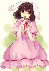 Rule 34 | 1girl, :3, animal ears, brown eyes, brown hair, carrot necklace, closed mouth, clover, dated, dress, four-leaf clover, head tilt, inaba tewi, m (neteitai10), necklace, pink dress, puffy sleeves, rabbit ears, ribbon trim, simple background, smile, solo, standing, touhou, twitter username