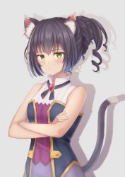 Rule 34 | 1girl, absurdres, animal ear fluff, animal ears, bare arms, black ribbon, blouse, blush, cat ears, collared dress, commentary, dress, green eyes, highres, huge filesize, karyl (princess connect!), looking at viewer, medium hair, mimori (mimori 05), multicolored hair, neck ribbon, ponytail, princess connect!, purple hair, purple skirt, ribbed dress, ribbon, shadow, shirt, sidelocks, skirt, sleeveless, sleeveless shirt, solo, streaked hair, tail, vest, white hair
