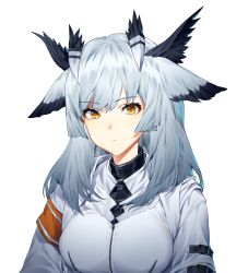 Rule 34 | 1girl, arknights, armband, commentary, feather hair, highres, jacket, long hair, looking at viewer, pointy hair, ptilopsis (arknights), ptilopsis (elite ii) (arknights), shinidei, silver hair, simple background, solo, upper body, white background, white jacket, yellow eyes