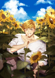 Rule 34 | 1boy, blonde hair, blush, boots, cloud, cloudy sky, collarbone, day, finger to mouth, flower, granblue fantasy, green eyes, higashigunkan, large pectorals, light, male focus, muscular, muscular male, one eye closed, outdoors, pectorals, shirt, short hair, shushing, sky, solo, sunflower, upper body, vane (granblue fantasy), white background