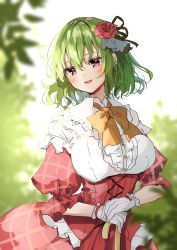 Rule 34 | 1girl, blurry, blurry background, blush, bow, bowtie, breasts, brown ribbon, buttons, collared dress, dress, eyelashes, eyes visible through hair, flower, frills, gloves, green hair, grey gloves, grey ribbon, hair between eyes, hair flower, hair ornament, hair ribbon, hands up, highres, kazami yuuka, leaf, looking at viewer, medium breasts, one-hour drawing challenge, open mouth, puffy short sleeves, puffy sleeves, red dress, red eyes, red flower, red rose, ribbon, rose, shironeko yuuki, short sleeves, sky, smile, solo, standing, tongue, touhou, umbrella, white dress, white sky, yellow bow, yellow bowtie