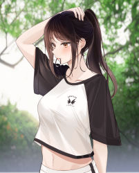 Rule 34 | 1girl, absurdres, adjusting hair, blurry, blurry background, brown eyes, brown hair, closed mouth, commentary, expressionless, hair tie, hair tie in mouth, hand in own hair, hand up, highres, lebring, long hair, midriff, mouth hold, navel, original, outdoors, pants, ponytail, shirt, short sleeves, solo, standing, symbol-only commentary, t-shirt, tree, white pants