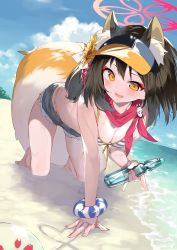 Rule 34 | 1girl, :d, absurdres, animal ear fluff, animal ears, arm support, bare legs, bare shoulders, barefoot, beach, bikini, blue archive, blue sky, blush, bottle, breasts, brown hair, cleavage, cloud, cloudy sky, day, denim, denim shorts, eyeshadow, fang, fox ears, fox girl, fox tail, front-tie top, hair between eyes, halo, highres, holding, holding bottle, horizon, izuna (blue archive), izuna (swimsuit) (blue archive), kikurage tom., kneeling, looking at viewer, makeup, medium breasts, ocean, open mouth, outdoors, red scarf, sand, scarf, short hair, short shorts, shorts, skin fang, sky, smile, solo, striped bikini, striped clothes, swimsuit, tail, visor cap, water, wet, wrist cuffs, yellow eyes
