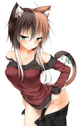 Rule 34 | 1girl, absurdres, ahoge, animal ears, bare shoulders, black bra, black skirt, blush, bra, brown hair, buttons, calico, cat ears, cat tail, closed mouth, collarbone, contrapposto, frown, green eyes, green ribbon, hair between breasts, hair between eyes, hair ornament, hairclip, highres, leaning forward, mage (335656), multicolored hair, off-shoulder, off-shoulder sweater, off shoulder, open clothes, open skirt, original, panties, pleated skirt, ribbon, simple background, skirt, solo, split-color hair, standing, sweatdrop, sweater, tail, tail ornament, tail ribbon, teardrop, tears, tsurime, unbuttoned, underwear, unzipped, white background, white hair, white panties, zipper