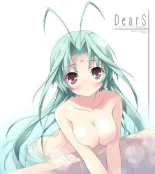Rule 34 | 00s, 1girl, ahoge, antenna hair, bath, blush, breasts squeezed together, breasts, cleavage, dears, green hair, kantoku, nude, purple eyes, ren (dears), solo, water