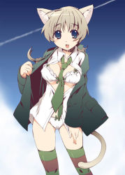 Rule 34 | 1girl, :d, ahoge, animal ears, between breasts, blazer, blonde hair, blue eyes, blue sky, blush, bow, bow bra, bow panties, bra, braid, breasts, brown thighhighs, cameltoe, cat ears, cat tail, cleavage, cloud, contrail, covered erect nipples, day, dress shirt, green thighhighs, hair ribbon, high collar, jacket, lace, lace-trimmed bra, lace-trimmed panties, lace trim, lingerie, long hair, looking at viewer, lynette bishop, medium breasts, multicolored clothes, multicolored legwear, necktie, open clothes, open jacket, open mouth, open shirt, outdoors, panties, ribbon, scrunchie, shikage nagi, shirt, shirt tug, silver hair, single braid, sky, smile, solo, standing, strike witches, striped clothes, striped thighhighs, tail, thighhighs, tororo29, underboob, underwear, undressing, white bra, white panties, white shirt, world witches series