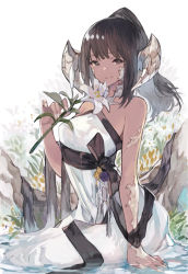Rule 34 | 1girl, au ra, warrior of light (ff14), bare shoulders, black bow, black ribbon, bow, brown eyes, brown hair, commentary, commission, dragon horns, dress, final fantasy, final fantasy xiv, flower, full body, grass, highres, holding, holding flower, horns, kemomin nosuke, long hair, looking at viewer, nail polish, partially submerged, ponytail, ribbon, scales, sidelocks, sitting, skeb commission, sleeveless, sleeveless dress, smile, solo, tassel, water, white dress, white nails, yokozuwari