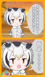 Rule 34 | 1girl, bird girl, bird wings, brown eyes, chinese text, coat, copyright name, feathered wings, gloves, grey hair, head wings, highres, kemono friends, kemono friends 3, kurokw (style), looking at viewer, northern white-faced owl (kemono friends), official art, outdoors, short hair, solo, translation request, wings