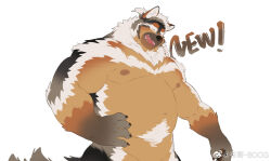 Rule 34 | 1boy, animal ear fluff, animal ears, bara, big belly, black fur, boogbogex, brown eyes, brown fur, chest hair, cowboy shot, dog boy, dog ears, english text, fluffy, furry, furry male, haki (boogbogex), highres, large pectorals, laughing, looking at viewer, male focus, muscular, muscular male, nipples, orange fur, original, out-of-frame censoring, pectorals, short hair, solo, thick eyebrows, whiskers, white fur
