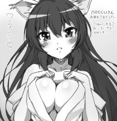 Rule 34 | 1girl, animal ears, artist request, bakeneko, bare shoulders, blush, breasts, cat ears, cat girl, cleavage, collarbone, greyscale, hair between eyes, heart, japanese clothes, kimono, large breasts, long hair, looking at viewer, monochrome, noihara himari, off shoulder, omamori himari, open clothes, solo, source request, translation request, very long hair
