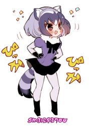 Rule 34 | 10s, 1girl, animal ears, black bow, black bowtie, black footwear, black gloves, black skirt, blush, boots, bow, bowtie, common raccoon (kemono friends), full body, fur collar, gloves, hands on own hips, kemono friends, mamaloni, motion lines, pantyhose, puffy short sleeves, puffy sleeves, purple shirt, raccoon ears, raccoon tail, shirt, short hair, short sleeves, simple background, skirt, solo, tail, white background, white pantyhose