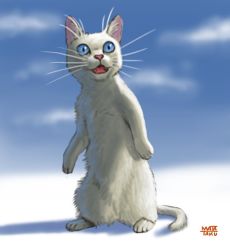 Rule 34 | animal, animal focus, blue eyes, cat, cloud, day, fangs, matataku, no humans, original, sky, slit pupils, standing, surprised cat (matataku), white day
