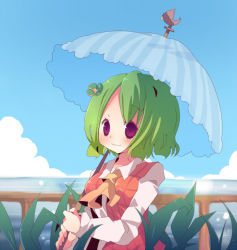 Rule 34 | 1girl, ana (rznuscrf), ascot, bird, chicken, cloud, clover, day, female focus, fence, four-leaf clover, green hair, hair ornament, kazami yuuka, ocean, parasol, plaid, plaid vest, red eyes, rooster, short hair, silhouette, smile, solo, touhou, umbrella, upper body, vest