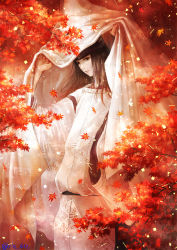 Rule 34 | 1boy, arms up, autumn, autumn leaves, black eyes, black hair, closed mouth, commentary, commentary request, expressionless, fujiwara no sai, hat, highres, hikaru no go, japanese clothes, kimono, lips, long hair, long sleeves, looking at viewer, male focus, pale skin, signature, solo, tate eboshi, branch, wariko, white kimono