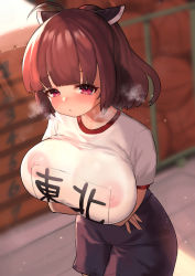 Rule 34 | 1girl, ahoge, alternate breast size, black shorts, blush, breasts, brown hair, commission, covered erect nipples, gym shirt, gym shorts, headgear, highres, large breasts, name tag, parted lips, red eyes, shirt, short hair, short sleeves, shorts, skeb commission, solo, totorosu, touhoku kiritan, voiceroid, white shirt