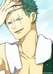 Rule 34 | 1boy, curry gohan, green hair, male focus, one-eyed, one piece, roronoa zoro, topless male, smile, solo, wet