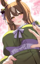 Rule 34 | 1girl, blurry, blurry background, blush, braid, breasts, brown hair, casual, cherry blossoms, commentary request, dress, ear ornament, french braid, from below, green dress, hair between eyes, hair ornament, heart, highres, kibihimi, large breasts, long hair, looking at viewer, multicolored hair, open mouth, outdoors, petals, pov, satono diamond (umamusume), sky, solo focus, streaked hair, translation request, tree, umamusume, white hair, yellow eyes