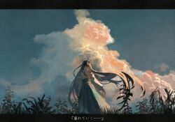 Rule 34 | 1girl, black hair, cloud, commentary request, grass, hakama, hakama skirt, horns, japanese clothes, kimono, letterboxed, long hair, looking at viewer, miko, original, outdoors, scenery, shimekake, skirt, sky, solo, standing, translation request, very long hair