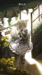 Rule 34 | 1girl, absurdres, animal ears, arknights, artist name, bare shoulders, black collar, black gloves, blonde hair, closed mouth, collar, commentary, copyright name, dress, earpiece, english commentary, flower, flower pot, fox ears, fox girl, fox tail, full body, gloves, hair flower, hair ornament, hairband, highres, holding, holding flower pot, infection monitor (arknights), kitsune, kyuubi, medium dress, multicolored hair, multiple tails, purple flower, short hair, smile, solo, standing, suzuran (arknights), tail, two-tone hair, white flower, white hair, white hairband, yellow eyes, yellow flower, yukikochenk