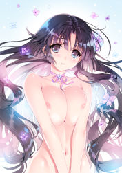 Rule 34 | 1girl, black hair, blush, breasts, carnelian, character request, choker, convenient censoring, flower, kantai collection, large breasts, looking at viewer, navel, nude, purple eyes, ribbon, ribbon choker, shouhou (kancolle), sidelocks, smile, solo, upper body
