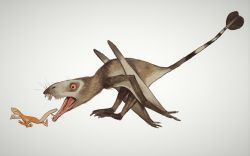 Rule 34 | animal focus, chasing, dimorphodon, dinosaur, from side, highres, lizard, mossacannibalis, original, running, simple background, white background, wide-eyed