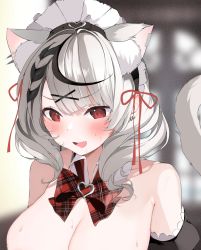 Rule 34 | 1girl, alternate costume, animal ears, bare shoulders, black hair, blunt bangs, blush, bow, braid, breasts, cat ears, cat tail, detached collar, detached sleeves, earrings, embarrassed, enmaided, extra ears, fang, hair ornament, hair ribbon, heart, highres, hololive, jewelry, kemonomimi mode, large breasts, looking down, maid, maid headdress, medium hair, multicolored hair, niku (hamuchang), open mouth, plaid, plaid bow, portrait, red eyes, red ribbon, ribbon, sakamata chloe, silver hair, solo, streaked hair, sweat, tail, two-tone hair, virtual youtuber, x hair ornament