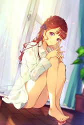Rule 34 | 1girl, ass, bare legs, barefoot, blurry, brown hair, collared shirt, curtains, day, depth of field, hair ribbon, highres, indoors, interlocked fingers, knees up, kusaka kou, long hair, long sleeves, looking at viewer, no pants, on floor, original, own hands together, plant, potted plant, purple eyes, ribbon, shirt, sitting, smile, solo, sunlight, white shirt