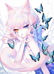 Rule 34 | 1girl, animal ears, artist name, bare shoulders, blue eyes, blue nails, bug, butterfly, cat ears, cat tail, commentary, hand up, heterochromia, highres, insect, looking at viewer, nail polish, original, sheya, short hair, signature, silver hair, solo, symbol-only commentary, tail, upper body, yellow eyes
