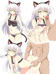 Rule 34 | 1boy, 1girl, all fours, altina orion, animal ears, bare shoulders, black panties, bottomless, breasts, camisole, cat ears, cat tail, censored, cleavage, collarbone, doggystyle, eiyuu densetsu, fake animal ears, falcom, fellatio, green eyes, hair between eyes, hair flaps, hetero, highres, imminent fellatio, licking, licking penis, long hair, mosaic censoring, motion lines, multiple views, navel, nipples, open mouth, oral, panties, penis, plaid, plaid panties, sen no kiseki, sex, sex from behind, sidelocks, silver hair, simple background, small breasts, sweat, tail, tongue, tongue out, torso grab, underwear, white background, yaomai
