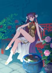 Rule 34 | 1girl, arm support, bare legs, bare shoulders, bench, blue eyes, blunt bangs, blush, breasts, china dress, chinese clothes, commentary request, covered navel, cushion, double bun, dress, fate/grand order, fate (series), full body, gloves, hair bun, hair ribbon, hand on own knee, heroic spirit traveling outfit, leg up, lily pad, long hair, martha (fate), martha (traveling outfit) (fate), medium breasts, multicolored clothes, multicolored dress, night, outdoors, parted lips, pelvic curtain, plant, potted plant, purple hair, ribbon, see-through, shoes, sitting, sleeveless, sleeveless dress, smile, solo, twintails, very long hair, water, white footwear, white gloves, white ribbon, yuura