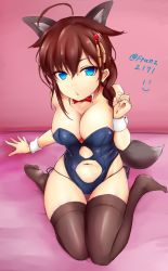 Rule 34 | 10s, 1girl, ahoge, animal ears, blue eyes, blue leotard, blush, breasts, brown hair, brown thighhighs, cleavage, clothing cutout, detached collar, dog ears, dog tail, franz (217franz), hair between eyes, hair flaps, hair ornament, highres, indoors, kantai collection, kneeling, large breasts, leotard, navel, navel cutout, nontraditional playboy bunny, on bed, playboy bunny, shigure (kancolle), shigure kai ni (kancolle), skindentation, solo, tail, thighhighs, twitter username, wrist cuffs