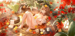 Rule 34 | 1girl, :o, afloat, alcohol, animal ears, autumn leaves, bamboo fence, barefoot, basin, bath, bathing, blurry, blush, bra, breasts, brooch, brown hair, bucket, character request, choker, choko (cup), clouble, convenient leg, cup, day, depth of field, falling leaves, fence, flower, food, food on head, fruit, fruit on head, hair ornament, hair tubes, highres, holding, holding food, holding fruit, jewelry, knees up, lace, lace-trimmed bra, lace trim, lantern, large breasts, leaf, long hair, looking at viewer, maple leaf, nature, object on head, partially submerged, reclining, red: pride of eden, rock, sake, shawl, sidelocks, solo, steam, strap gap, tokkuri, towel, tray, underwear, underwear only, water, water drop, wet, wet hair, white bra, white flower, wooden bucket, yellow eyes, yuzu (fruit), yuzu bath