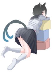 1girl absurdres animal_ears ass black_eyes black_hair black_skirt blue_archive cat_ears cat_girl cat_tail commentary_request from_behind full_body highres kikyou_(blue_archive) long_sleeves looking_at_viewer looking_back mobius_(41799837) no_shoes pleated_skirt sailor_collar school_uniform serafuku shirt simple_background skirt socks solo tail white_background white_shirt white_socks