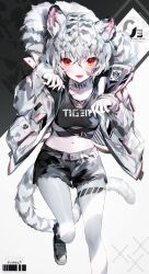 Rule 34 | 1girl, animal ear fluff, animal ears, black shirt, black shorts, clothes writing, commentary, fangs, foot out of frame, fur-trimmed jacket, fur trim, grey jacket, grey pantyhose, hands up, highres, jacket, looking at viewer, muaooooo, multicolored hair, navel, open mouth, original, pantyhose, red eyes, sandals, shirt, short hair, shorts, silver hair, skin fangs, solo, standing, standing on one leg, tail, tank top, tiger ears, tiger girl, tiger tail, two-tone background, two-tone hair, white tiger print