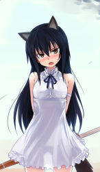 Rule 34 | 1girl, :o, animal ears, arms behind back, bare shoulders, black hair, blush, cat ears, cat tail, dress, fang, head tilt, long hair, lowleg, lowleg panties, null (nyanpyoun), open mouth, panties, see-through, skirt, solo, strike witches, strike witches zero, sundress, tail, underwear, wakamoto tetsuko, world witches series, yellow eyes