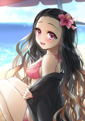 Rule 34 | 1girl, 2019, :d, adapted costume, bare shoulders, bikini, bikini under clothes, black hair, blue sky, blurry, blurry background, blush, breasts, brown hair, cloud, commentary request, day, depth of field, fangs, fingernails, flower, gradient hair, hair flower, hair ornament, highres, horizon, kamado nezuko, kimetsu no yaiba, long hair, looking at viewer, looking to the side, medium breasts, mono land, multicolored hair, nail polish, ocean, off shoulder, open clothes, open mouth, outdoors, pink bikini, pink flower, pink nails, purple eyes, sharp fingernails, signature, sitting, sky, smile, solo, swimsuit, very long hair, water