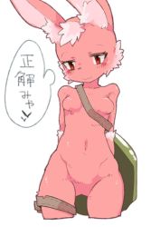 Rule 34 | 1girl, animal ears, blush, breasts, character request, female focus, furry, furry female, highres, nude, rabbit ears, simple background, small breasts, solo, tomatojam, white background, zakuzaku actors