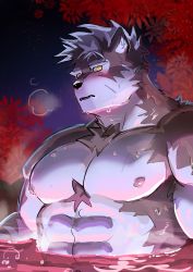 Rule 34 | 078-kun, 1boy, abs, absurdres, autumn leaves, bara, blush, breath, chest hair, facial scar, furry, furry male, grey fur, grey hair, highres, horkeu kamui, large pectorals, male focus, multicolored hair, muscular, muscular male, nipples, no headwear, nude, onsen, partially submerged, pectorals, scar, scar on cheek, scar on face, short hair, solo, tokyo houkago summoners, two-tone fur, two-tone hair, upper body, wet, wolf boy, yellow eyes