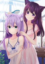 Rule 34 | 2girls, animal ear fluff, animal ears, bare arms, bare shoulders, blue hair, blue nightgown, breasts, cat ears, coconat summer, collarbone, commentary request, dot nose, green eyes, hair between eyes, hair brush, highres, indoors, long hair, looking at another, looking at viewer, multiple girls, nightgown, original, pink nightgown, purple eyes, purple hair, small breasts, smile