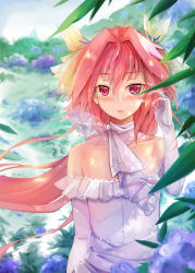 Rule 34 | 1boy, alternate hairstyle, astolfo (fate), bare shoulders, blue flower, blurry, blush, bow, collarbone, commentary request, day, depth of field, detached collar, dress, dying (dying0414), elbow gloves, fang, fate/apocrypha, fate (series), floating hair, flower, glint, gloves, grass, hair between eyes, hair bow, hair intakes, hair ribbon, hand up, jewelry, leaf, light particles, long hair, looking at viewer, male focus, multicolored hair, off-shoulder dress, off shoulder, outdoors, parted lips, pink eyes, pink hair, purple flower, ribbon, ring, see-through, solo, streaked hair, trap, upper body, wedding band, wedding dress, white dress, white gloves, white hair, white neckwear, wind, yellow bow, yellow ribbon