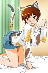 Rule 34 | 1girl, all fours, animal ears, bed sheet, blush, breasts, brown eyes, brown hair, cat ears, cat tail, fake animal ears, fake tail, indoors, large breasts, long sleeves, looking at viewer, official art, paw pose, pet play, short hair, shorts, side slit, solo, super real mahjong, tail, tanaka ryou, toyohara etsuko