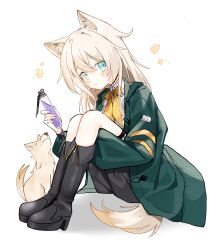 Rule 34 | 1girl, animal, animal ears, arknights, black footwear, black shorts, blonde hair, blush, boots, collared shirt, detached sleeves, dog, dog ears, dog girl, dog tail, flower, green eyes, green jacket, hair between eyes, highres, holding vial, jacket, knee boots, knees up, long hair, long sleeves, neckerchief, open clothes, open jacket, podenco (arknights), sentouryoku 5, shirt, shorts, simple background, sitting, solo, tail, white background, white shirt, yellow neckerchief
