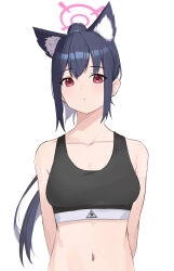 Rule 34 | 1girl, animal ear fluff, animal ears, arms behind back, bare shoulders, black hair, black sports bra, blue archive, bra, breasts, cat ears, collarbone, halo, highres, ku roiko, long hair, looking at viewer, navel, ponytail, red eyes, serika (blue archive), simple background, small breasts, solo, sports bra, underwear, upper body, white background